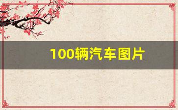 100辆汽车图片