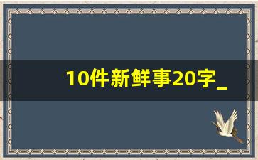 10件新鲜事20字_新鲜事可以写哪些