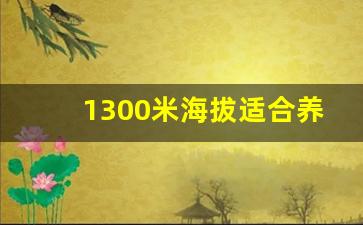 1300米海拔适合养老吗_海拔1900米适宜人居住吗