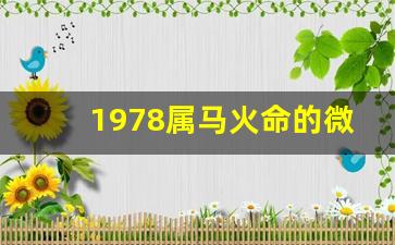 1978属马火命的微信招财名字