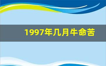 1997年几月牛命苦_属牛1997涧下水命详解