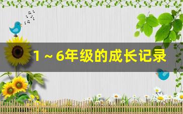 1～6年级的成长记录手册