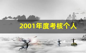 2001年度考核个人总结_民警年度考核个人总结