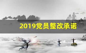 2019党员整改承诺书