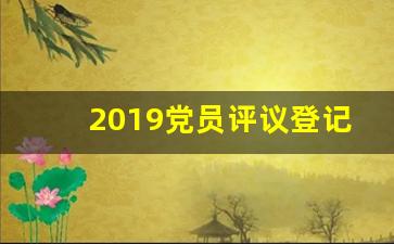 2019党员评议登记表