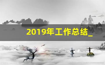 2019年工作总结_2019年工作总结书记