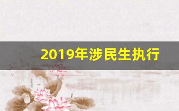 2019年涉民生执行案件实施方案