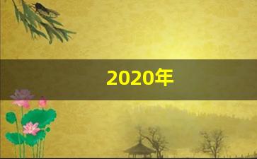 2020年