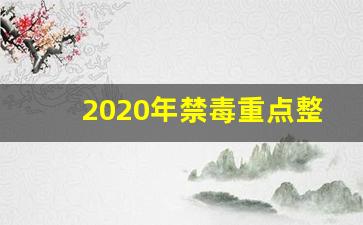 2020年禁毒重点整治工作方案