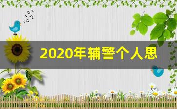 2020年辅警个人思想汇报