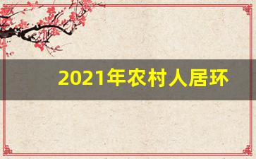 2021年农村人居环境整治工作总结