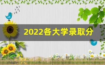 2022各大学录取分数线_2022年本科学校的录取分数线