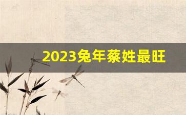 2023兔年蔡姓最旺女孩名字