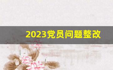 2023党员问题整改清单表_2023党员检视问题清单