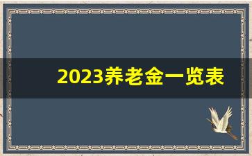 2023养老金一览表