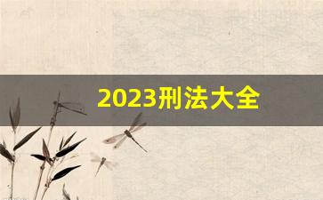 2023刑法大全