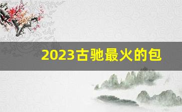 2023古驰最火的包包