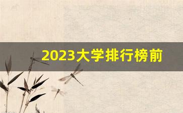 2023大学排行榜前100名_2023年985大学最新排行榜