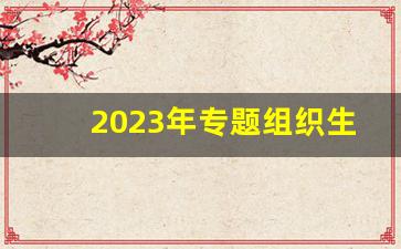 2023年专题组织生活个人发言材料