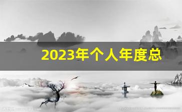 2023年个人年度总结_个人工作总结(个人通用)