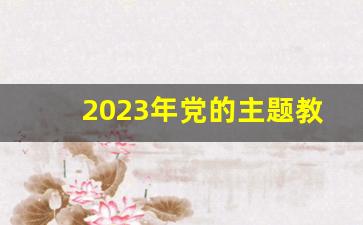 2023年党的主题教育心得