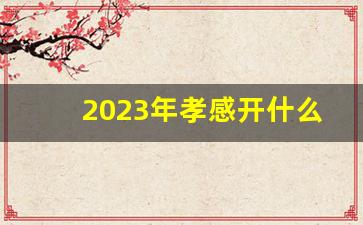 2023年孝感开什么运动会_孝感2026年省运会建设情况表