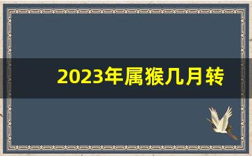 2023年属猴几月转运了_1992年属猴几岁遇真爱