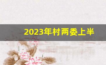 2023年村两委上半年工作总结_2023年村两委会议记录范文