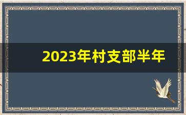 2023年村支部半年工作总结_2023年村两委上半年工作总结