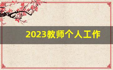 2023教师个人工作总结600字