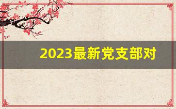 2023最新党支部对照检查材料