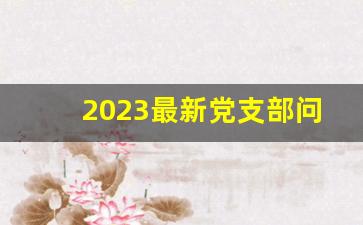 2023最新党支部问题清单_党支部整改清单表