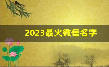 2023最火微信名字女的