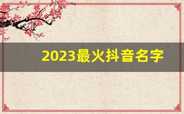 2023最火抖音名字