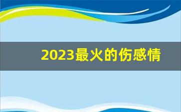 2023最火的伤感情歌_2023年十大最火伤感歌曲