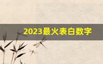 2023最火表白数字