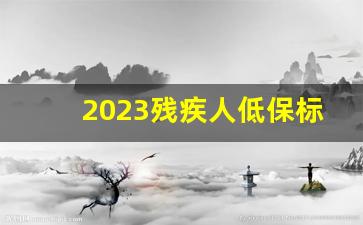 2023残疾人低保标准表_低保发现有6种就取消