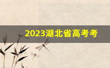 2023湖北省高考考生成绩查询官网