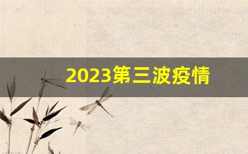 2023第三波疫情