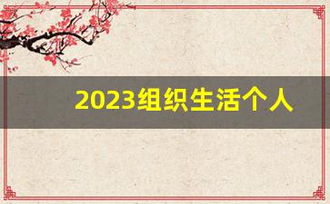 2023组织生活个人整改清单表_2023年党员个人查摆问题清单