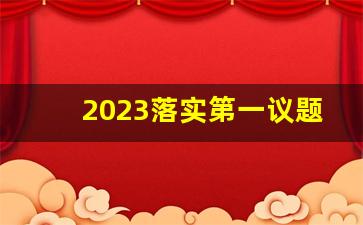 2023落实第一议题情况自查