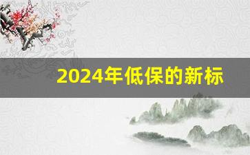 2024年低保的新标准_一户可以有几个低保名额