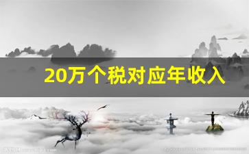 20万个税对应年收入_交20万税年薪大概多少