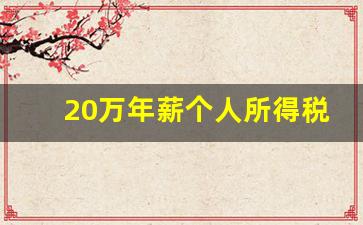 20万年薪个人所得税是多少_年收入20万扣税计算