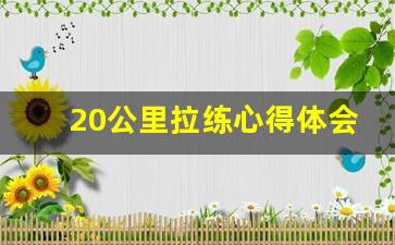 20公里拉练心得体会800字