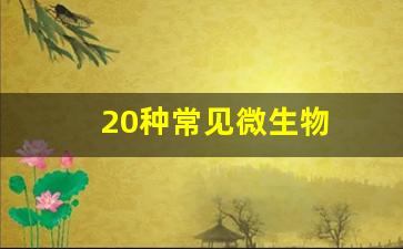 20种常见微生物