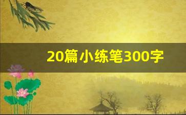 20篇小练笔300字_小练笔300字有题目