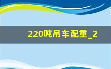 220吨吊车配重_220吨吊车参数表图片