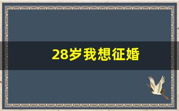 28岁我想征婚