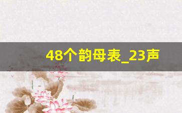 48个韵母表_23声母24韵母16整体认读音节